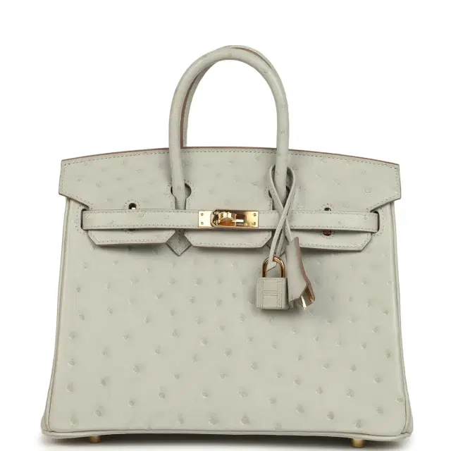 hermes Hermes Birkin 25 Gris Perle Ostrich Gold Hardware