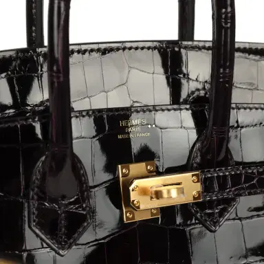 HERMÈS Hermes Birkin 25 Prunoir Shiny Niloticus Crocodile Gold Hardware | Thumbnail 7 HERMÈS Hermes Birkin 25 Prunoir Shiny Niloticus Crocodile Gold Hardware | Thumbnail 7