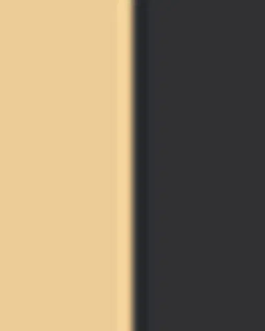 Loewe Smooth Leather Skinny Belt | Thumbnail 4