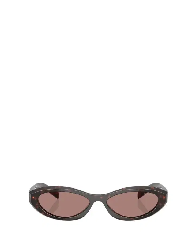 PR 26ZS Beveled Acetate & Plastic Oval Sunglasses