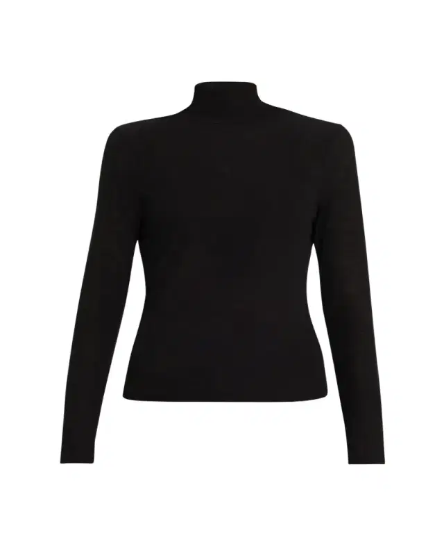 Wyeth Knit Turtleneck