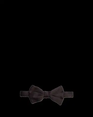 Giorgio Armani Men's Pre-Tied Silk Twill Bow Tie | Thumbnail 2