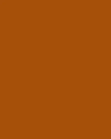 Isabel Marant Holis Leather Belt | Thumbnail 4