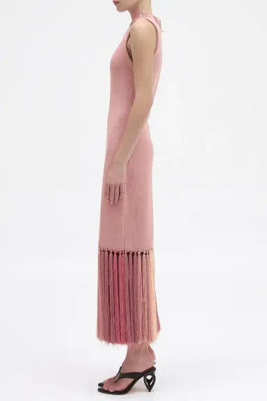 Aje Sofina Tassel Midi Dress | Thumbnail 3