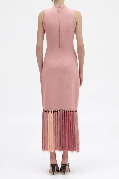 Aje Sofina Tassel Midi Dress | Thumbnail 4