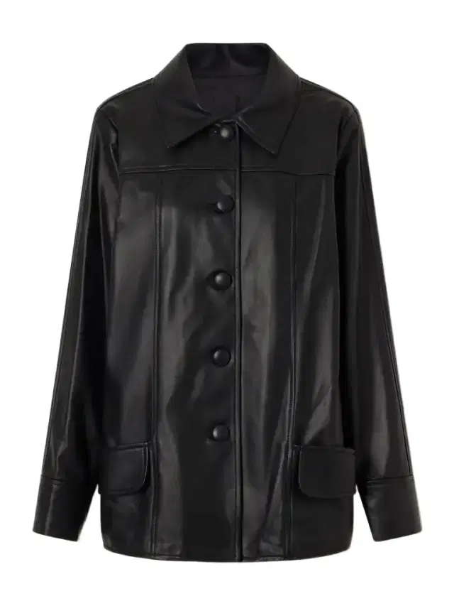 ANNA SUI Paneled Leather Jacket