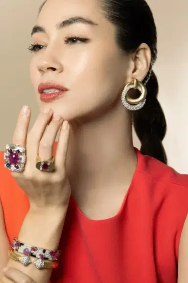 DAVID WEBB Diamond Double Hoop Earrings | Thumbnail 2