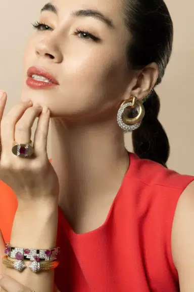 DAVID WEBB Diamond Double Hoop Earrings | Thumbnail 3