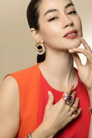 DAVID WEBB Diamond Double Hoop Earrings | Thumbnail 4