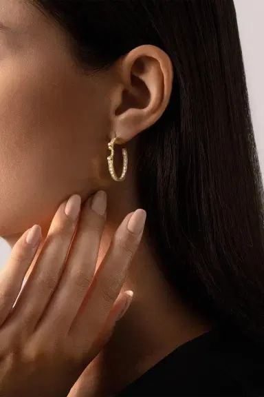 NOUVEL HERITAGE Eternity Tuxedo Mood Hoop Earrings | Thumbnail 2
