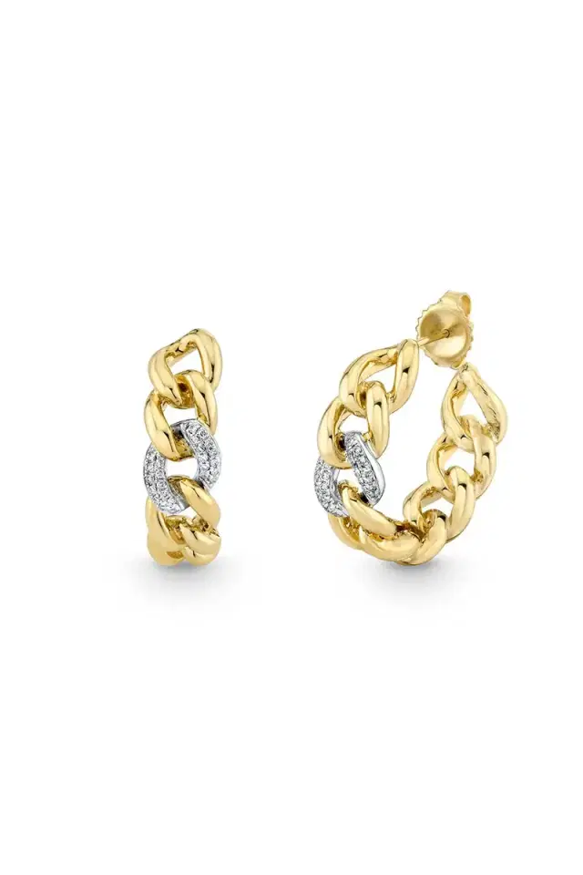 Sydney Evan Small Single Link Hoop Earrings