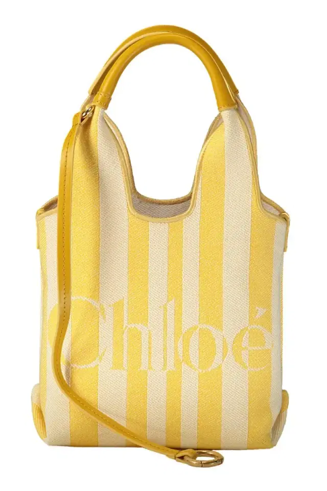 Chloé Striped Small Canvas Bag