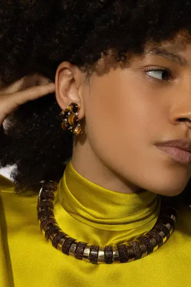 ALETTO BROTHERS Tiger Eye Diamond Orba Earrings | Thumbnail 2