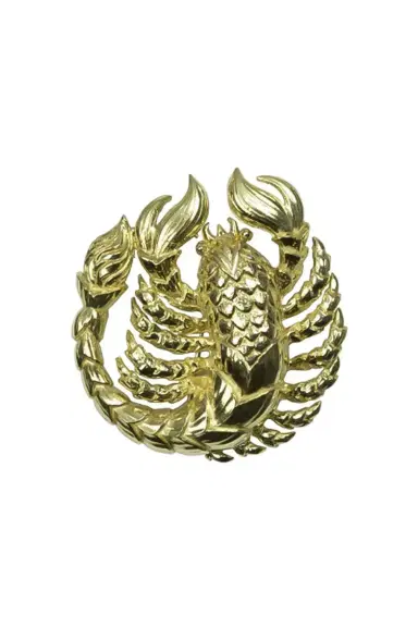 DAVID WEBB Zodiac Scorpio Brooch | Thumbnail 1