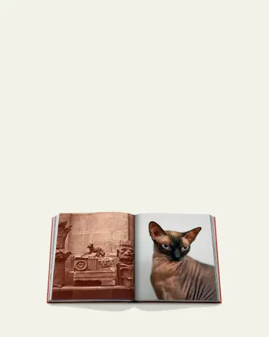 Assouline "Chic Cats" Book by Brett Martin | Thumbnail 4