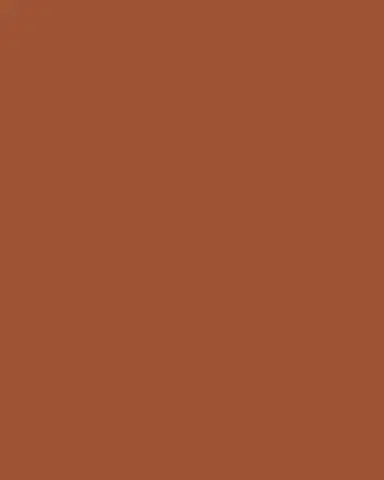 TWP Wide Vachetta Leather Belt | Thumbnail 3