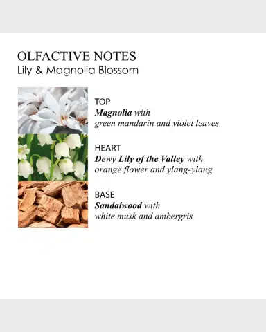Molton Brown 3.3 oz. Lily & Magnolia Blossom Eau de Toilette | Thumbnail 3