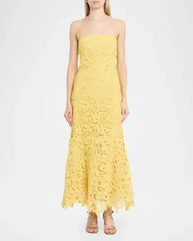 Simkhai Sera Floral Lace Bustier Maxi Dress | Thumbnail 2