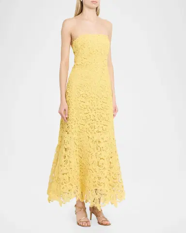 Simkhai Sera Floral Lace Bustier Maxi Dress | Thumbnail 4