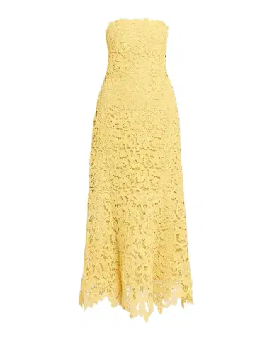 Simkhai Sera Floral Lace Bustier Maxi Dress | Thumbnail 1