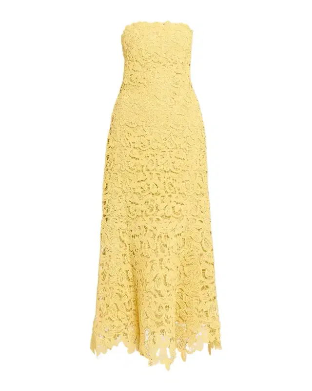 SIMKHAI Sera Floral Lace Bustier Maxi Dress