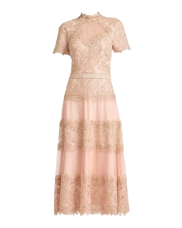 Stelly Pleated Embroidered Tulle Midi Dress