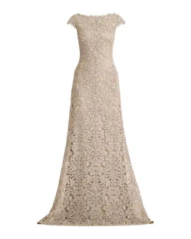 Tadashi Shoji Hoyt Embroidered Cap-Sleeve Gown | Thumbnail 1