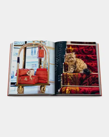 ASSOULINE "Chic Cats" Book by Brett Martin | Thumbnail 4 ASSOULINE "Chic Cats" Book by Brett Martin | Thumbnail 4