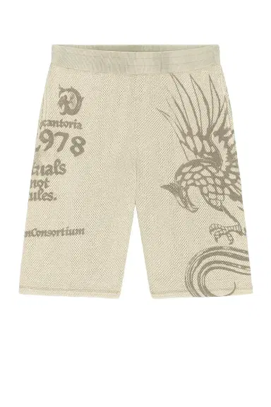 Diesel P-erry Shorts | Thumbnail 6
