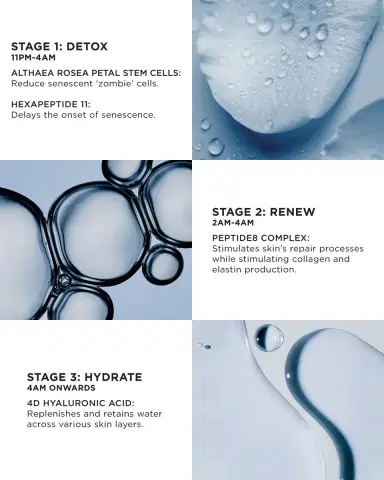 Noble Panacea The Absolute Peptide8 Night Serum Refill, 30 Doses | Thumbnail 3 Noble Panacea The Absolute Peptide8 Night Serum Refill, 30 Doses | Thumbnail 3