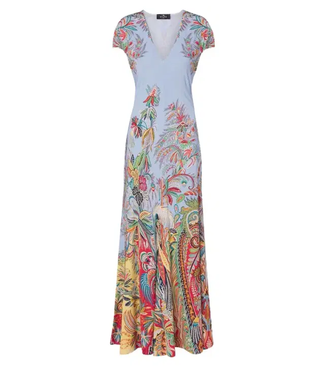 Etro Printed maxi dress