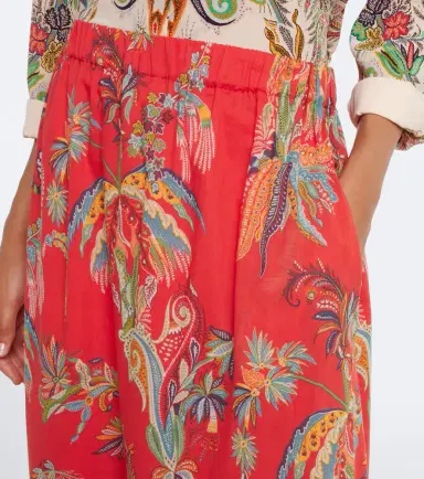 Etro Printed cotton maxi skirt | Thumbnail 3