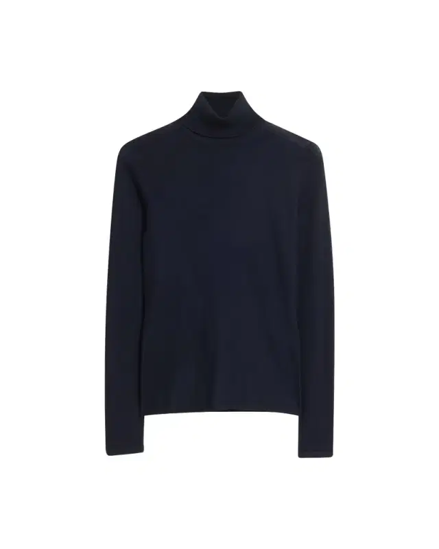 Gabriela Hearst Costa Cashmere Turtleneck