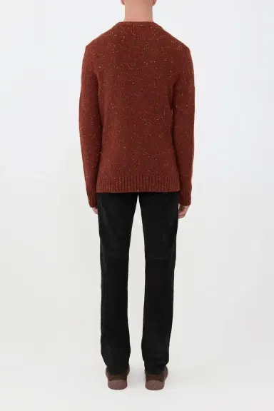 Gabriela Hearst Ailis Knit Cardigan in Burnt Sienna Multi Speckled Aran Cashmere | Thumbnail 4 Gabriela Hearst Ailis Knit Cardigan in Burnt Sienna Multi Speckled Aran Cashmere | Thumbnail 4