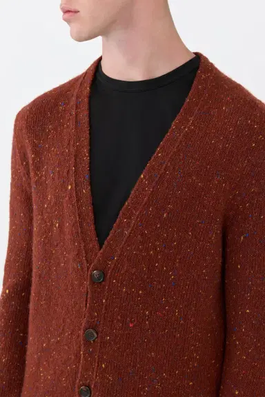 Gabriela Hearst Ailis Knit Cardigan in Burnt Sienna Multi Speckled Aran Cashmere | Thumbnail 5 Gabriela Hearst Ailis Knit Cardigan in Burnt Sienna Multi Speckled Aran Cashmere | Thumbnail 5