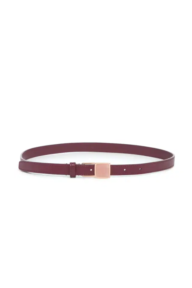 Gabriela Hearst Nina Stone Belt in Bordeaux Leather