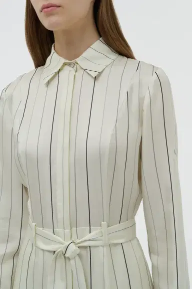 Gabriela Hearst Galway Shirtdress in Multi Pinstripe Silk Twill | Thumbnail 5 Gabriela Hearst Galway Shirtdress in Multi Pinstripe Silk Twill | Thumbnail 5
