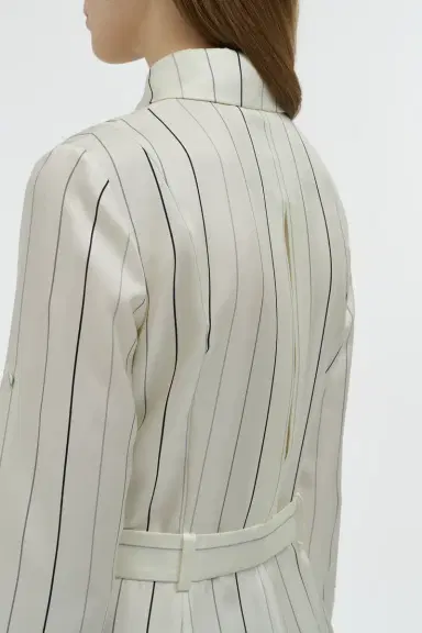 Gabriela Hearst Galway Shirtdress in Multi Pinstripe Silk Twill | Thumbnail 6 Gabriela Hearst Galway Shirtdress in Multi Pinstripe Silk Twill | Thumbnail 6