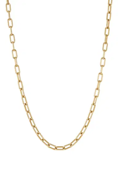 Gabriela Hearst Large Link Necklace in 18K Yellow Gold (Small Links) | Thumbnail 1
