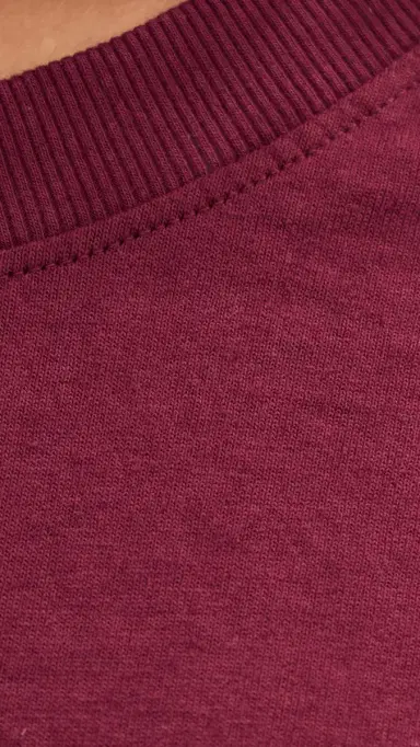 State & Lake Long Sleeve Baller Tee Burgundy M | Thumbnail 6
