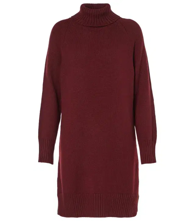 Max Mara Trudy virgin wool turtleneck minidress