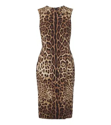 Dolce & Gabbana Leopard-print silk-blend charmeuse midi dress | Thumbnail 1
