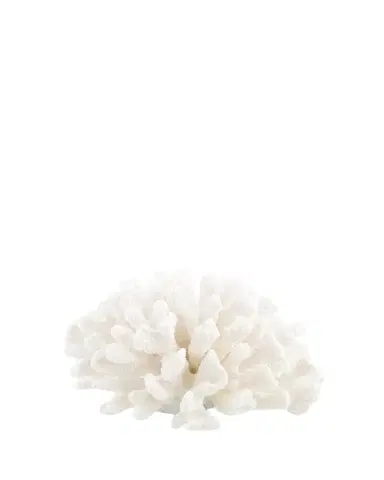 John-Richard Collection Maldives Coral | Thumbnail 1 John-Richard Collection Maldives Coral | Thumbnail 1