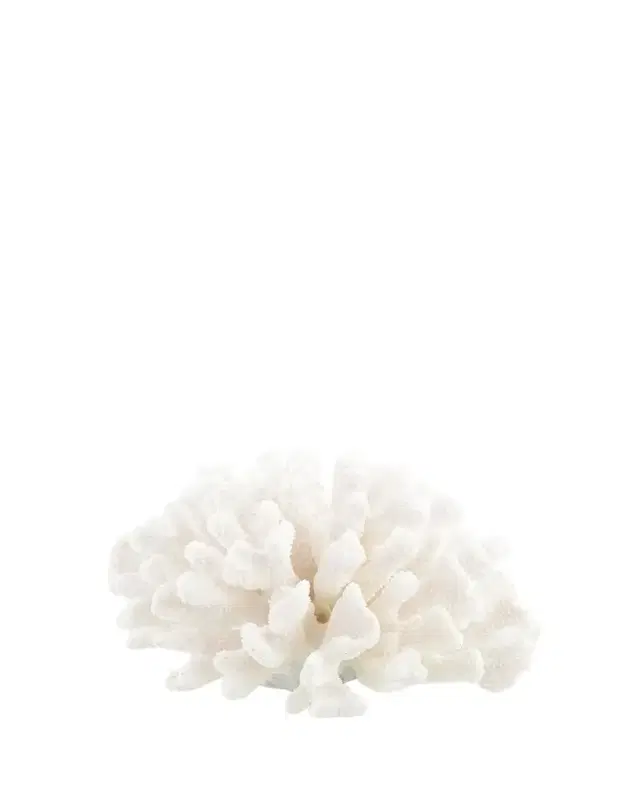 John-Richard Collection Maldives Coral