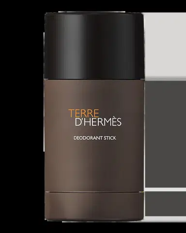 HERMÈS 2.6 oz. Terre d 'Hermes Alcohol-Free Deodorant Stick | Thumbnail 2