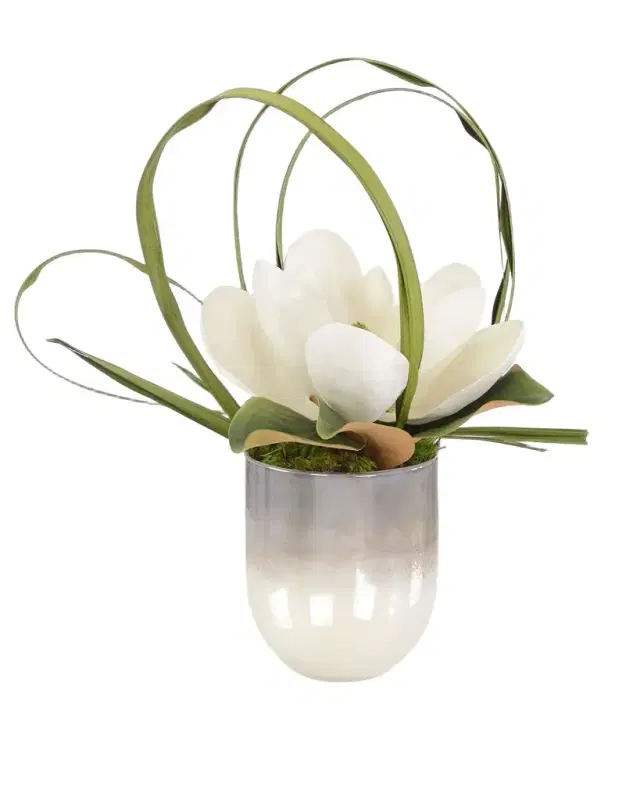 John-Richard Collection Shadows in the South Floral Arrangement