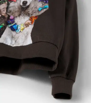 MOLO Maxi printed cotton jersey sweatshirt | Thumbnail 3