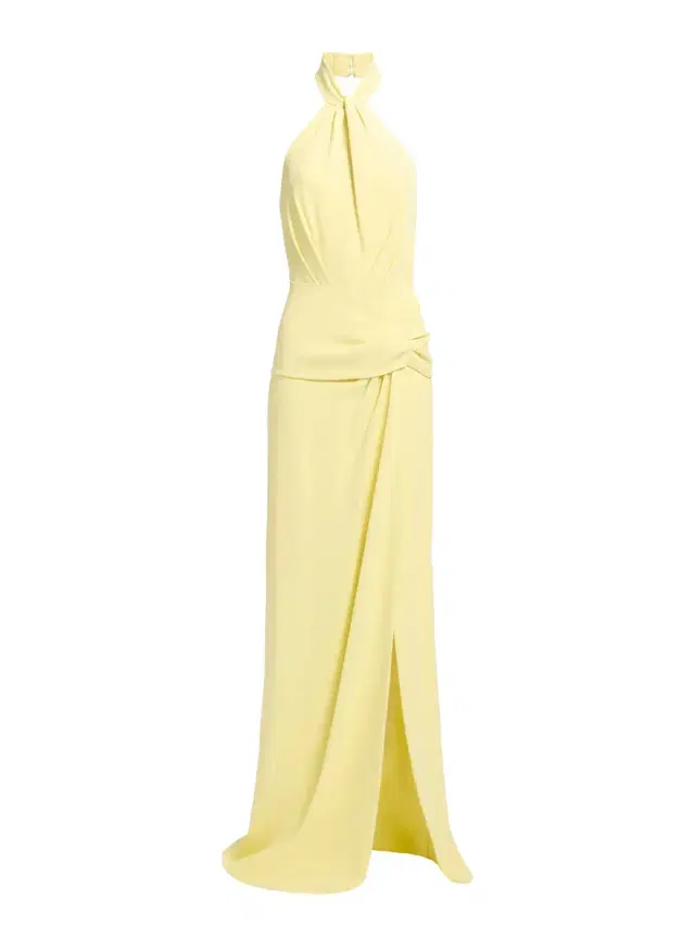 Elie Saab Cady Long Dress