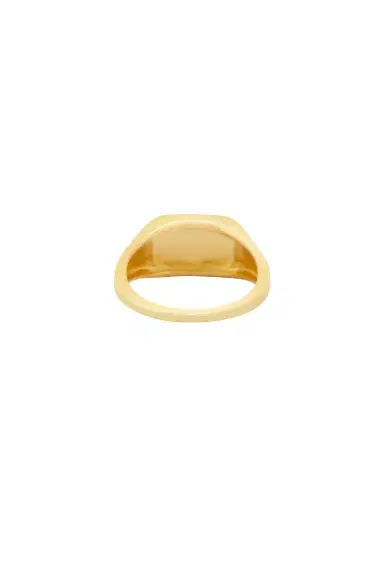 MÉGA Signet Pinky Ring | Thumbnail 3