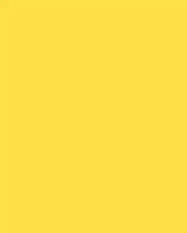 Hunt Slonem Portrait Plate with Gold Rim - Yellow | Thumbnail 3